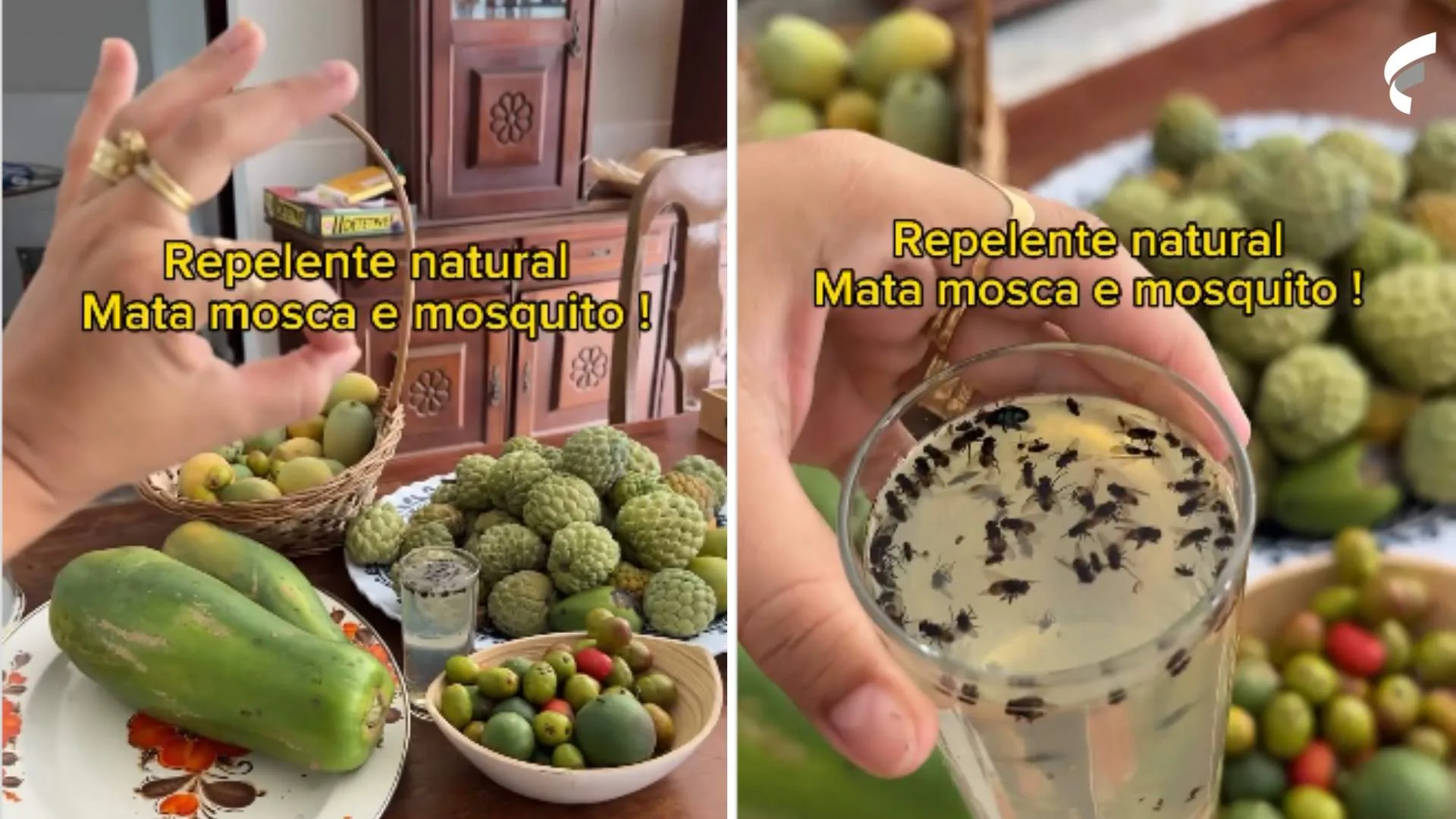 Reaplicação Consciente: Mantendo a Proteção ao Longo do Dia - inspiração 1