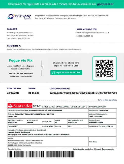 Custos e Taxas: O Que Você Precisa Saber Antes de Adotar - inspiração 2