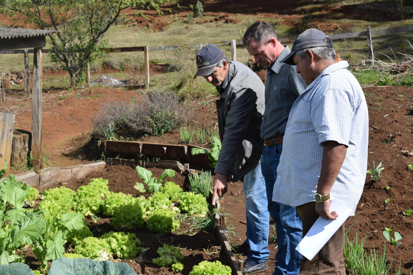 Além da Fundação: Sustentabilidade e Gestão Para o Sucesso
