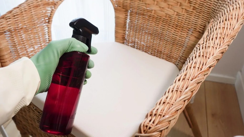 A Arte de Limpar com Pano Úmido: Técnica e Cuidados - inspiração 2