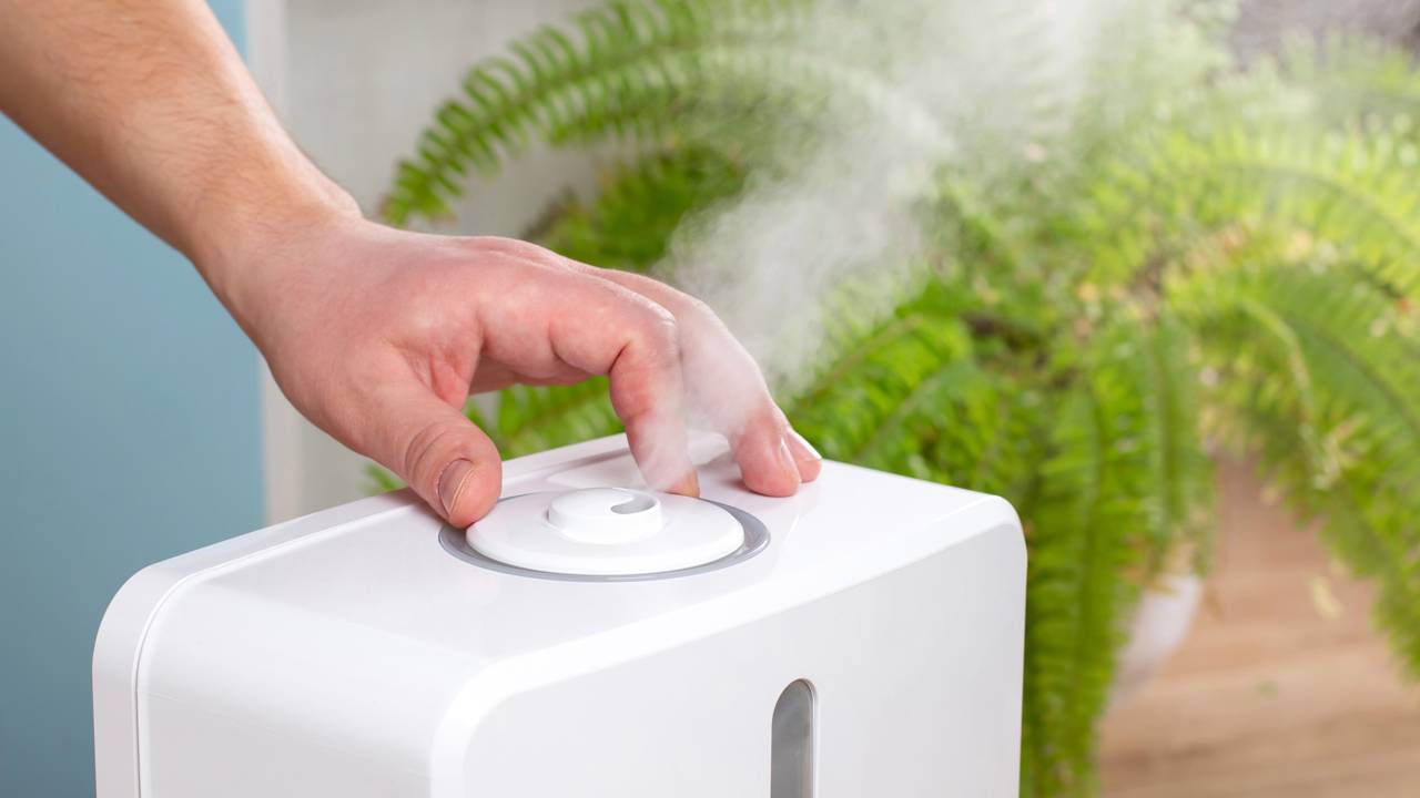 A Cada Uso: Dicas Rápidas Para Manter a Higiene Diária - inspiração 2