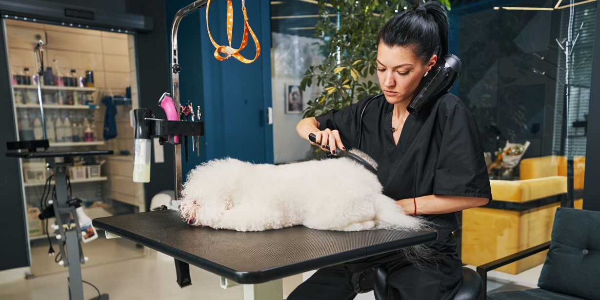 Estrutura e Localização: Onde Seu Sonho Vai Acontecer