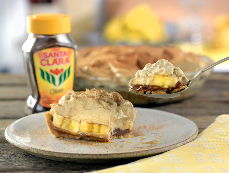 Prevenção e Cuidados Futuros: Mantenha Seu Tapete Impecável - inspiração 1