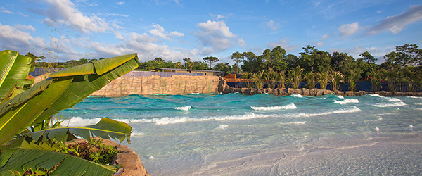 Salve Receitas e Dicas Gastronômicas Locais - inspiração 1