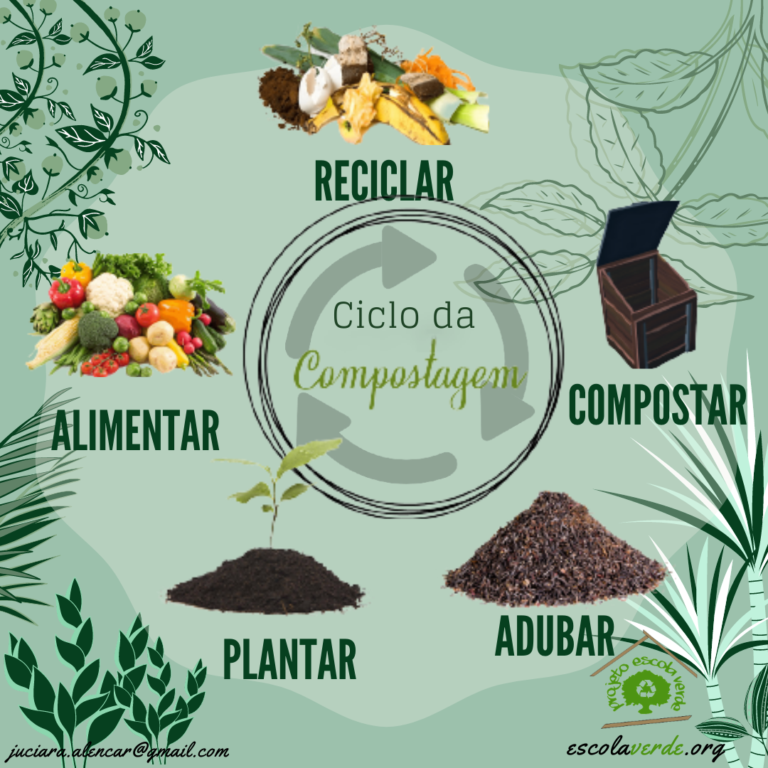 O que pode (e o que não pode!) ir para a sua composteira: O guia definitivo de ingredientes. - inspiração 1