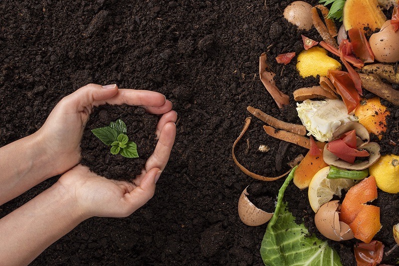 O que pode (e o que não pode!) ir para a sua composteira: O guia definitivo de ingredientes. - inspiração 2