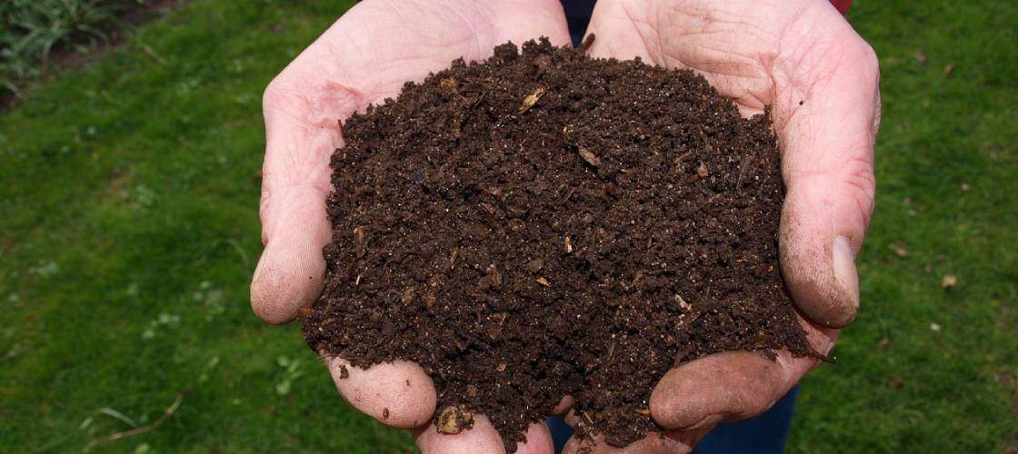 Solucionando os problemas mais comuns: Maus odores, pragas e lentidão. - inspiração 2