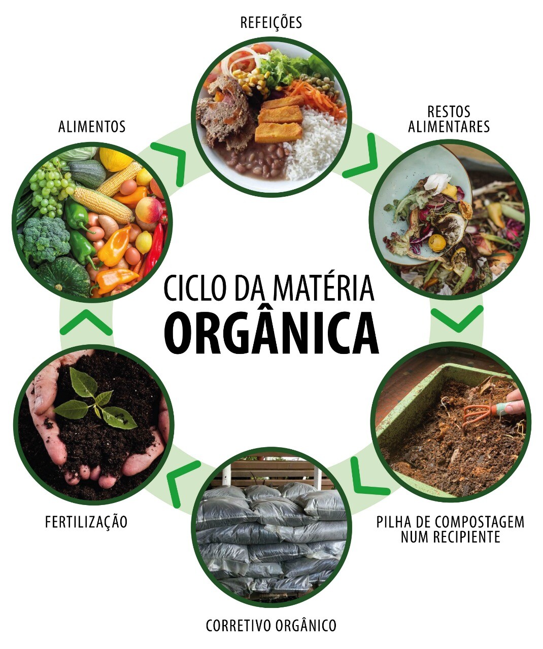 O timing perfeito: Quando e como usar seu adubo orgânico pronto. - inspiração 1