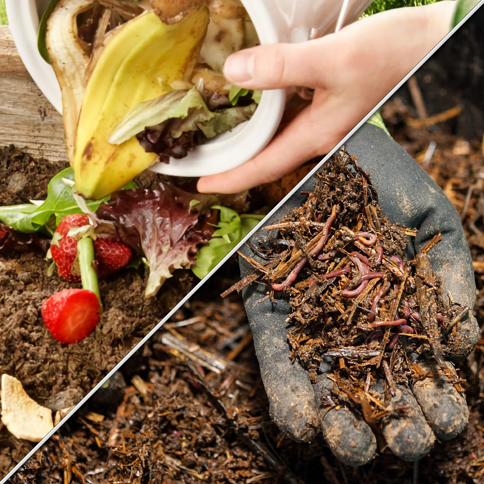 O timing perfeito: Quando e como usar seu adubo orgânico pronto. - inspiração 2
