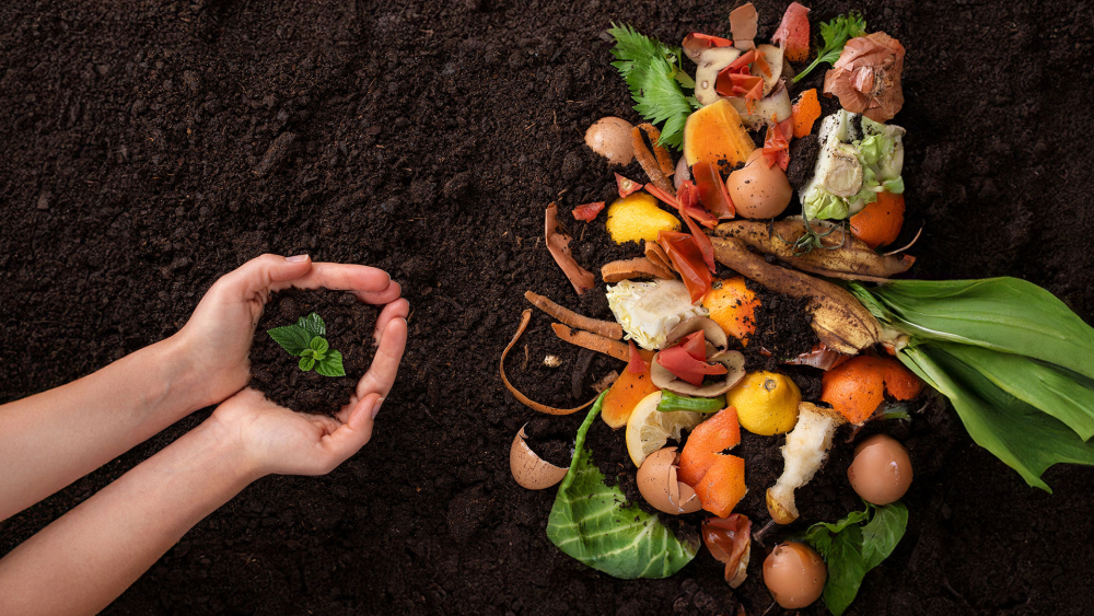 Compostagem para apartamentos: Sim, é possível! Dicas para espaços pequenos. - inspiração 1