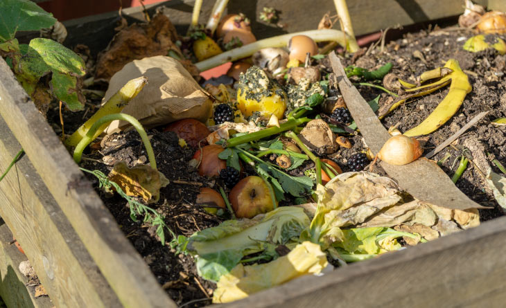 Compostagem para apartamentos: Sim, é possível! Dicas para espaços pequenos. - inspiração 2