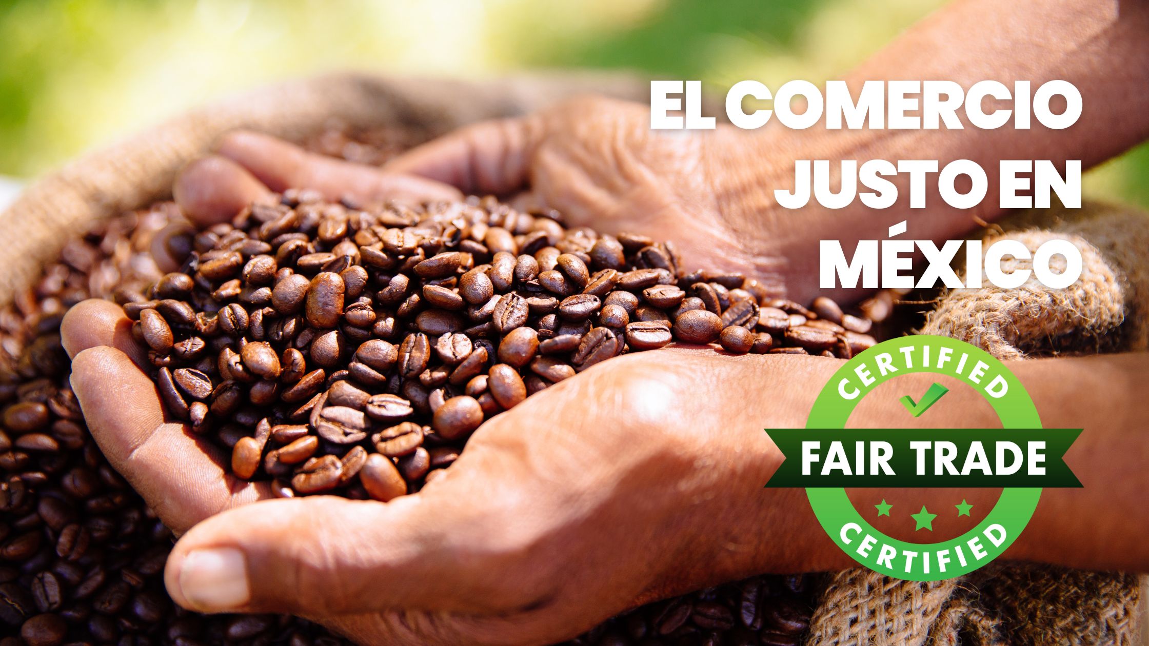 O preço vale a pena? Desmistificando custos - inspiração 1