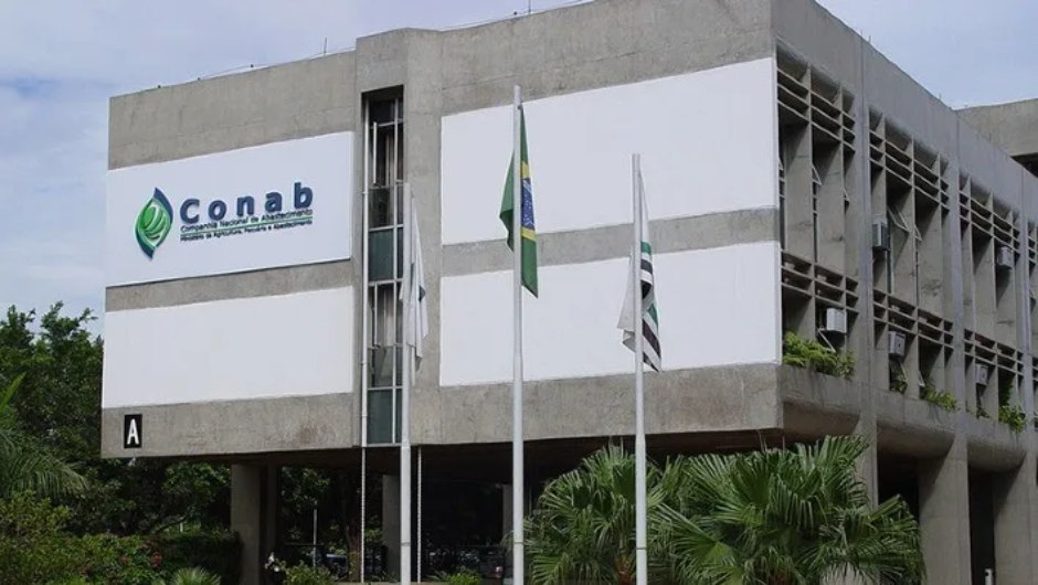 O Que é a CONAB e Qual Sua Missão Principal? - inspiração 1