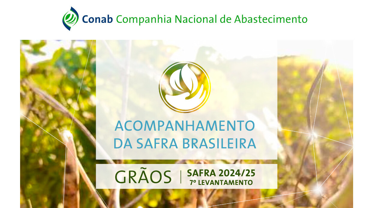 O Que é a CONAB e Qual Sua Missão Principal? - inspiração 2