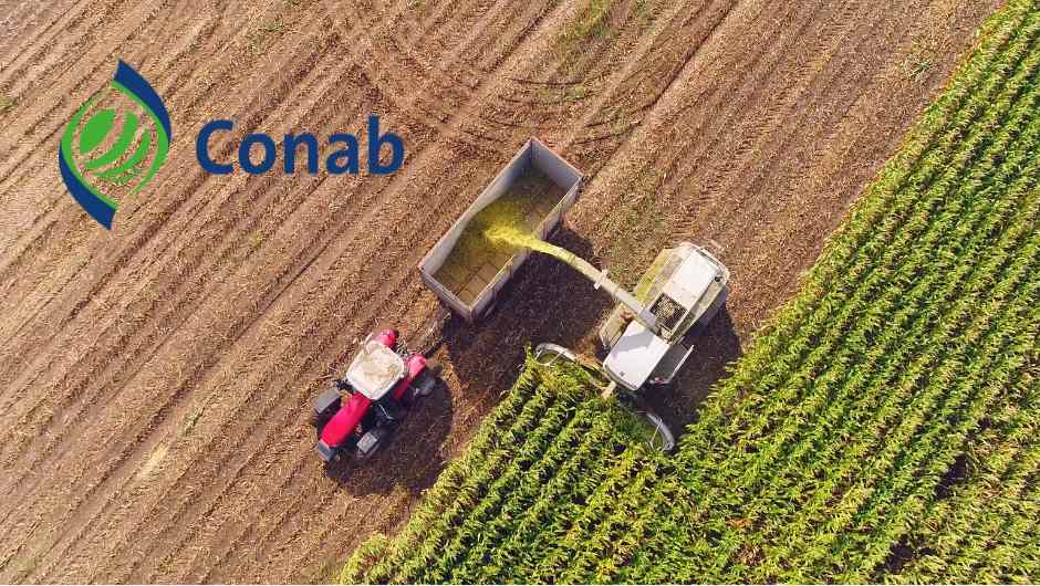 Entendendo o Programa de Aquisição de Alimentos (PAA) da CONAB - inspiração 1