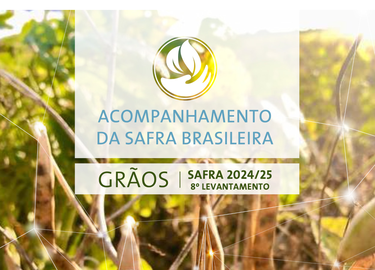 A Importância da CONAB Para Pequenos e Médios Produtores - inspiração 1