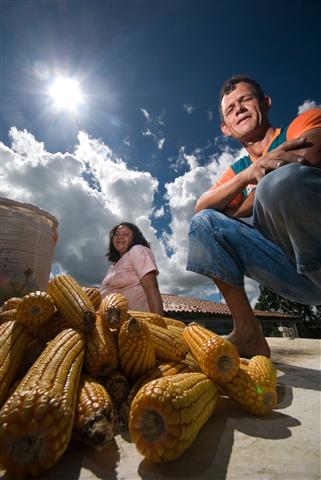 Como a CONAB Monitora e Analisa as Safras Nacionais - inspiração 2
