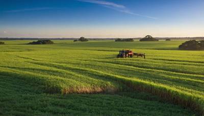 O Impacto da CONAB na Estabilidade dos Preços dos Alimentos - inspiração 1