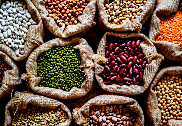 CONAB e a Agricultura Familiar: Uma Parceria Essencial - inspiração 1