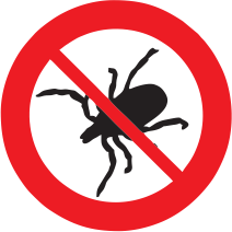 Check-up Pet: Como Examinar Seu Animal de Estimação com Eficiência - inspiração 2