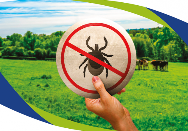 Produtos de Controle: Escolhendo o Melhor para Seus Pets - inspiração 1