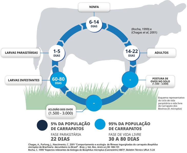 Controle no Jardim: Mantenha os Carrapatos Longe do Seu Quintal - inspiração 1