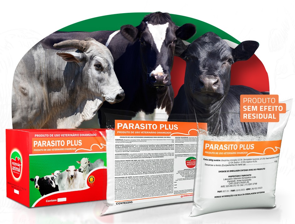 Identificando o Momento Certo para Intervir - inspiração 1