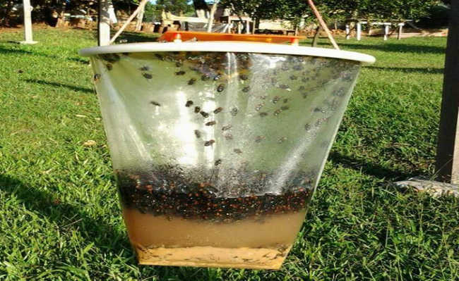 Identificando o Momento Certo para Intervir - inspiração 2