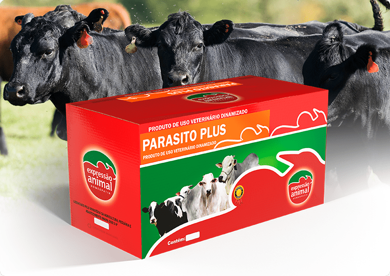 Opções de Tratamento: Do Convencional ao Alternativo - inspiração 1