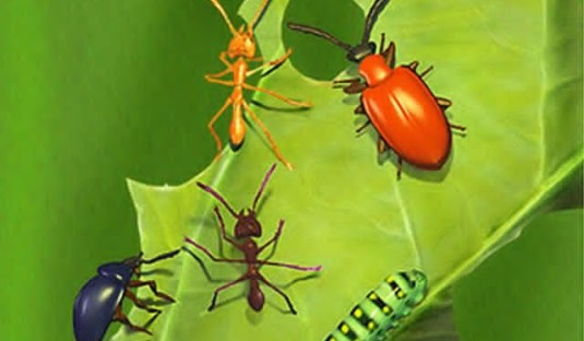 Estratégias Inteligentes: Horta Equilibrada, Pragas Distantes