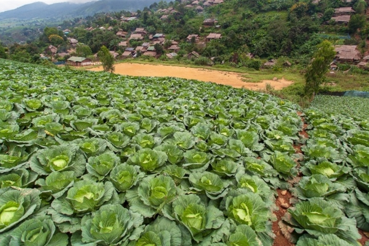 Aplicação Sem Erro: Dicas Que Fazem a Diferença