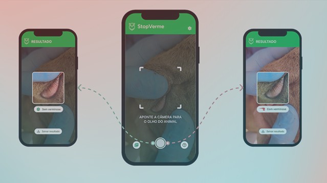 Prevenção em cada fase: cuidados com cordeiros, ovelhas e reprodutores - inspiração 2