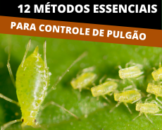 Identificando os Primeiros Sinais de Infestação nas Suas Plantas - inspiração 1