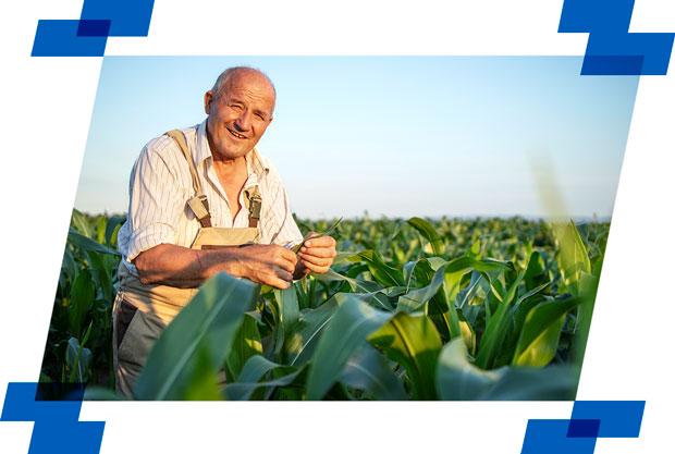 O Preço Certo Para Valorizar Seu Trabalho e Atrair Clientes - inspiração 2