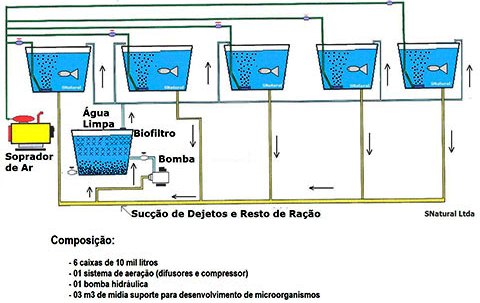 Por que escolher a caixa d'água para criar peixes? - inspiração 2