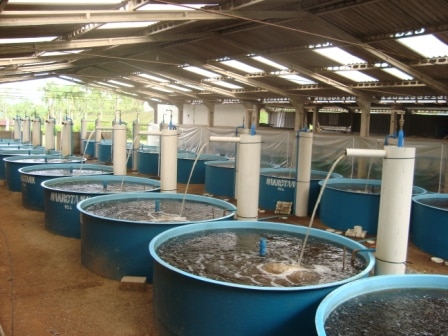 O que você precisa para começar: lista de materiais essenciais - inspiração 1