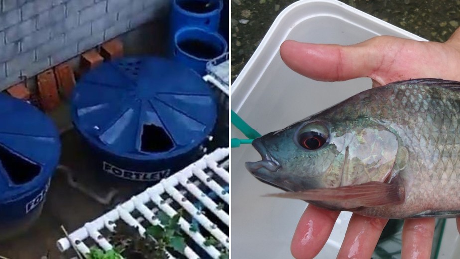 Escolhendo o local ideal para sua caixa d'água - inspiração 2