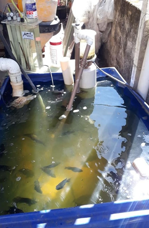 Preparando a caixa d'água: limpeza e adaptações - inspiração 2