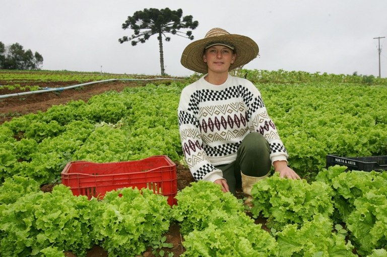 Tipos de crédito disponíveis: qual se encaixa no seu projeto? - inspiração 1