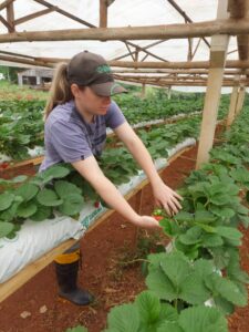 Onde buscar o crédito: cooperativas, bancos e programas governamentais - inspiração 2