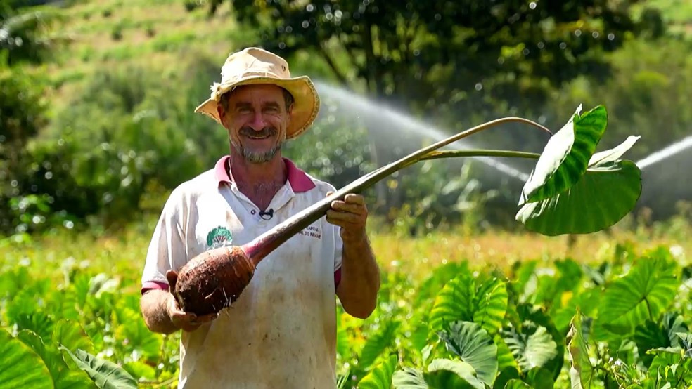 Controle de Pragas e Doenças: Protegendo sua Colheita Naturalmente - inspiração 1