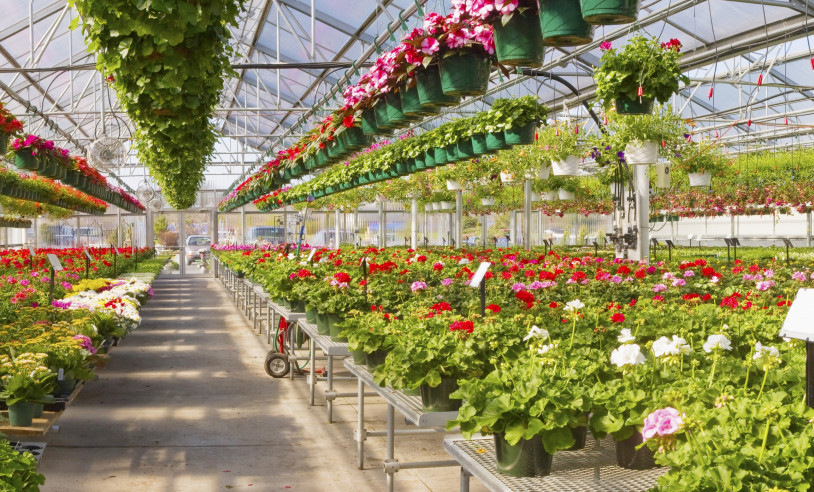 Regas na Medida Certa: Evitando Excesso e Falta - inspiração 2