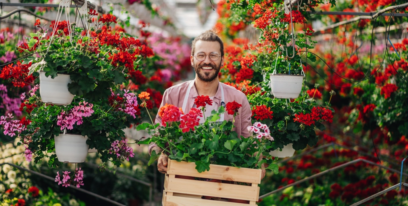 A Importância da Luz: Sol Pleno, Meia Sombra ou Sombra? - inspiração 2
