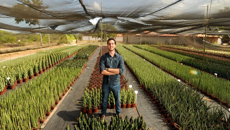 Adubação: Nutrição Essencial para Plantas Saudáveis - inspiração 2