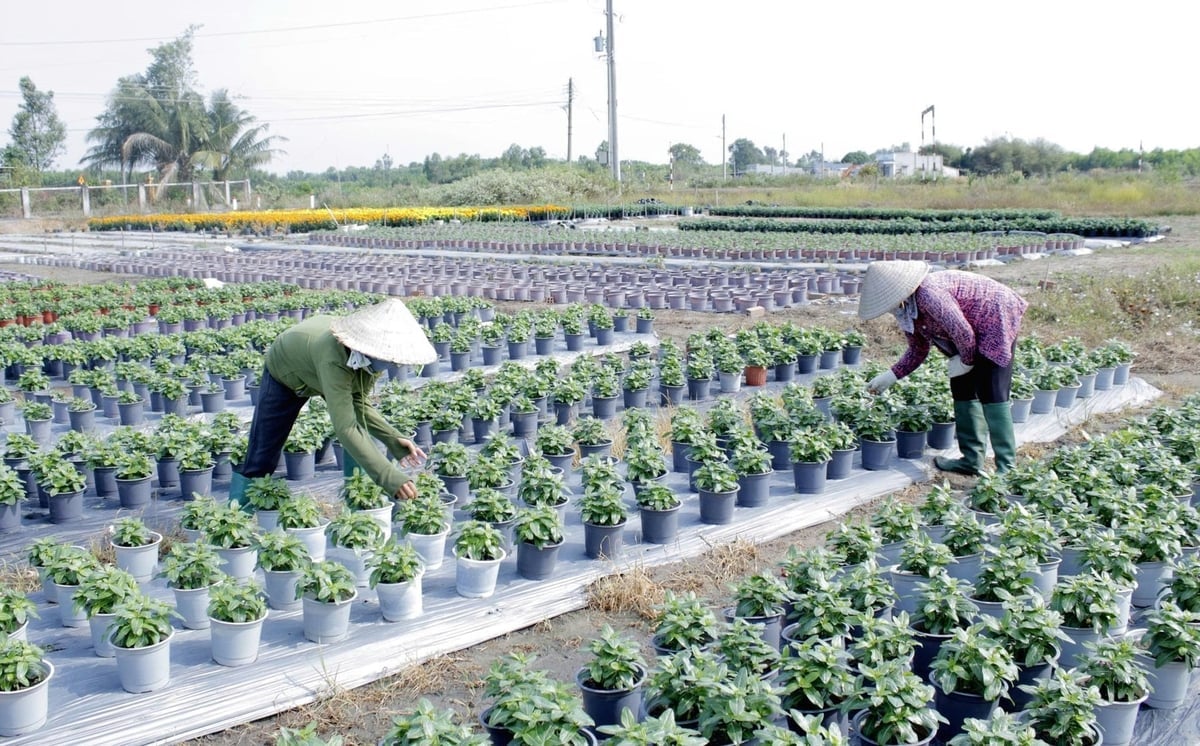 Planejamento e Otimização: A Chave para Colheitas Constantes - inspiração 1