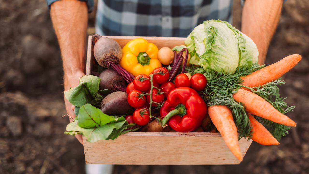 Planejamento e Otimização: A Chave para Colheitas Constantes - inspiração 2