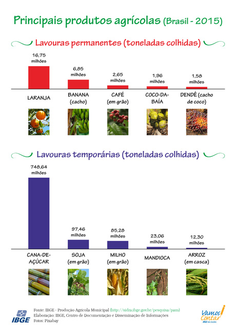 A Aceleração da Natureza: Entendendo o Tempo de Crescimento - inspiração 2