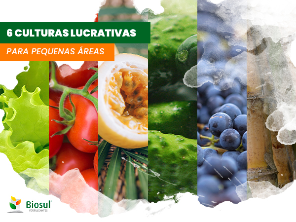 Exemplos Práticos no Seu Prato: Vegetais que Você Reconhece - inspiração 1