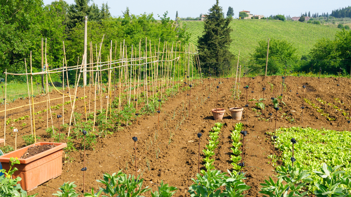 O Papel da Tecnologia no Aumento da Eficiência - inspiração 1