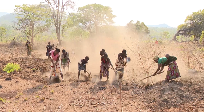 Como Escolher os Melhores Produtos de Ciclo Curto no Mercado - inspiração 1